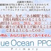 【Blue Ocean PPC＋Primary】ブルーオーシャンPPCプラスプライマリー